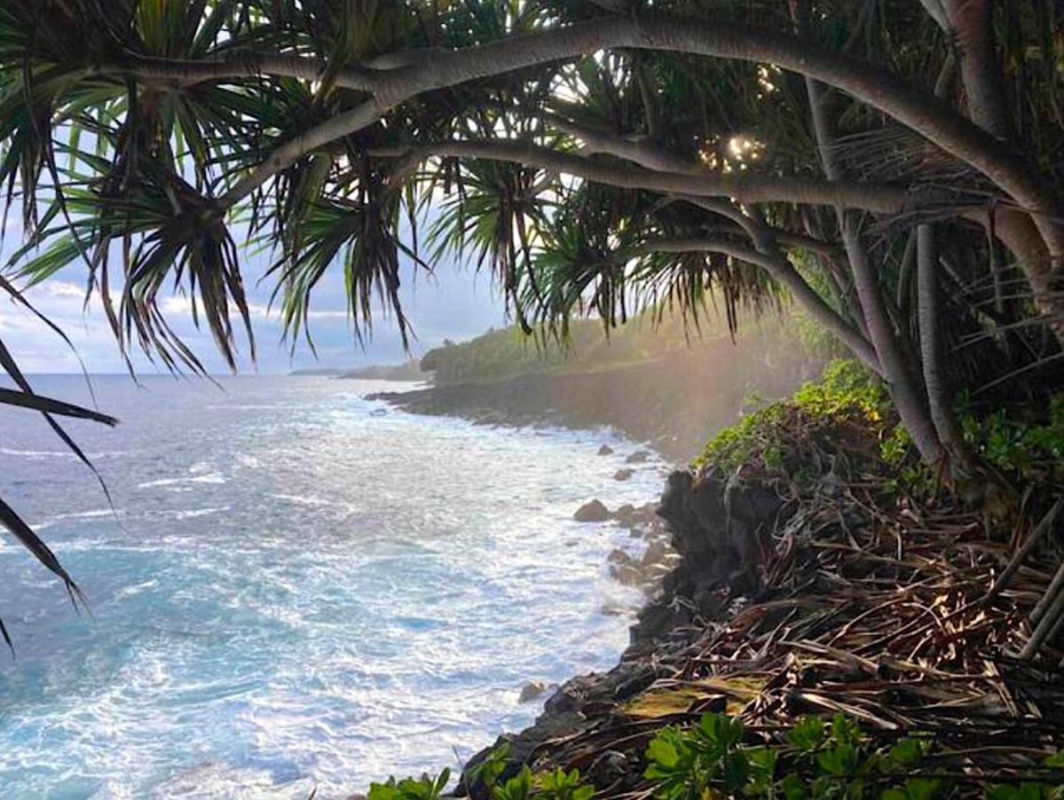 Seaside House And Aloha Bungalow Pahoa Екстер'єр фото